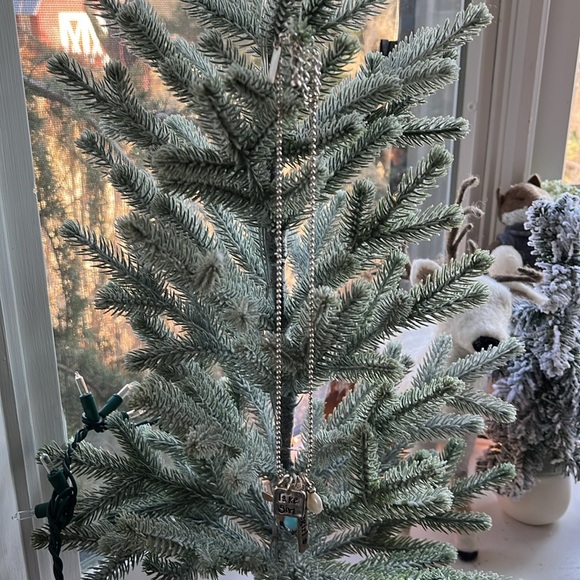 🛶 LAKE GIRL Necklace + Earrings • Silver • Adjustable - Picture 6 of 8